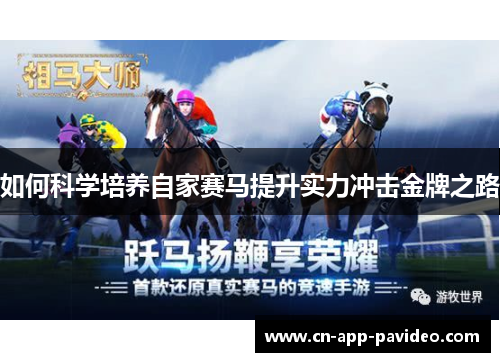 如何科学培养自家赛马提升实力冲击金牌之路 如何科学培养自家赛马提升实力冲击金牌之路